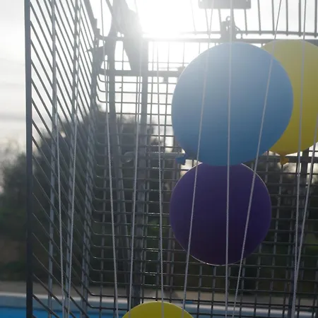 Camping Chez Mitch En Car Et Grand Espace Extérieur *